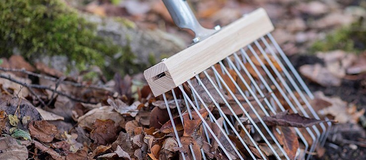Autumn tidy
