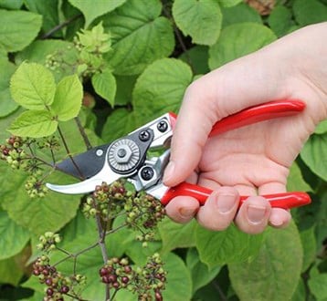 Hand Tools