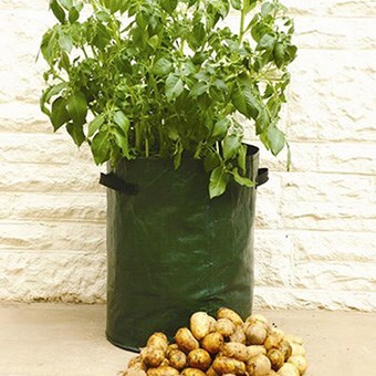 Potato planters