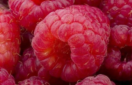 Raspberries