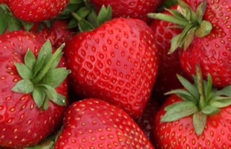 Strawberries