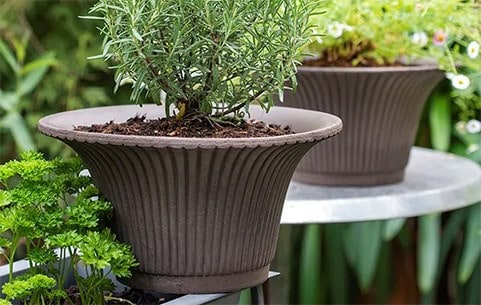 Pots, Outdoor Plant Pots Uk