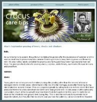 Care tip email