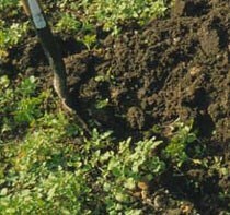 picture of soil being dug with green maure