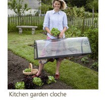 Kitchen garden cloche