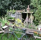 What's your style - Cottage garden
