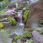 What's your style - water garden
