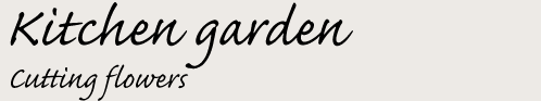 Kitchen Garden - Cutting Flowers