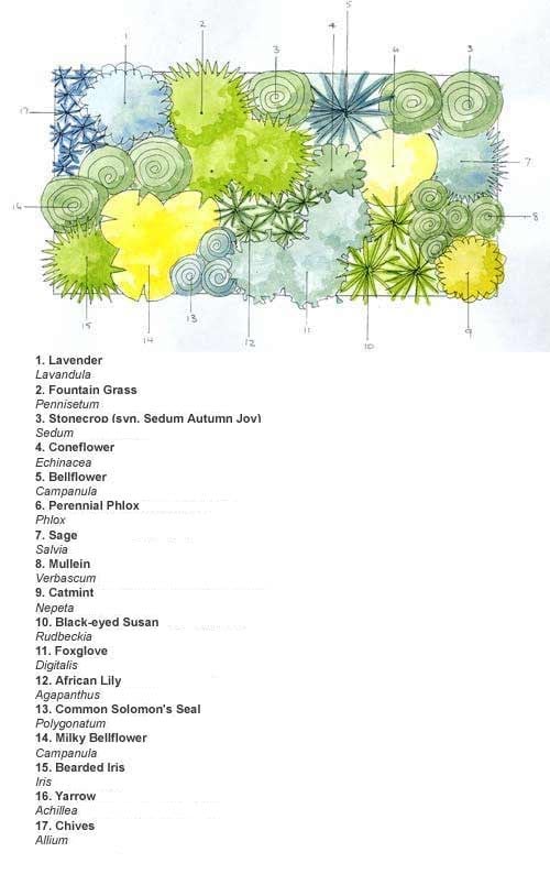 Ready Made Border Cottage Garden Scheme