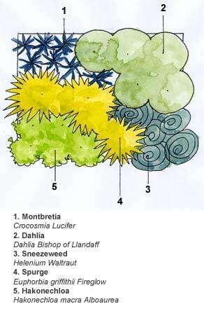 Crocus combinations