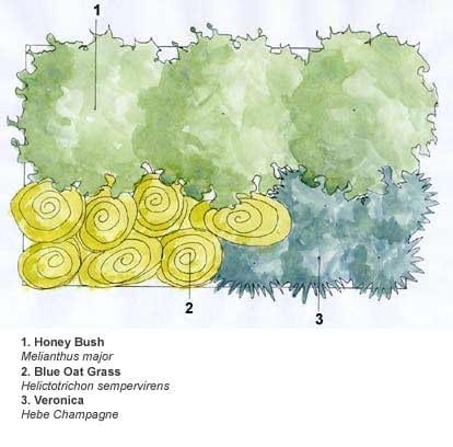 Crocus combinations