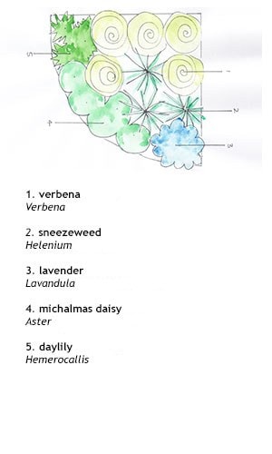 Crocus combinations