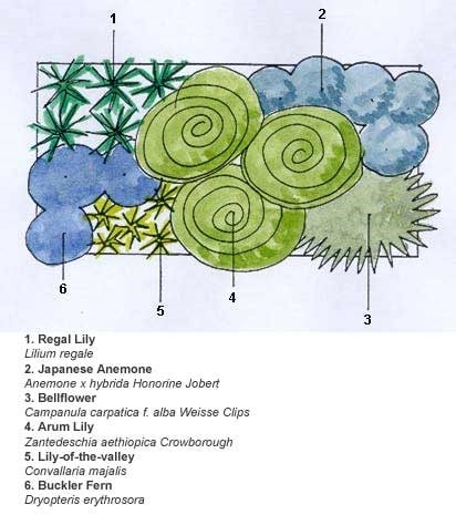 Crocus combinations