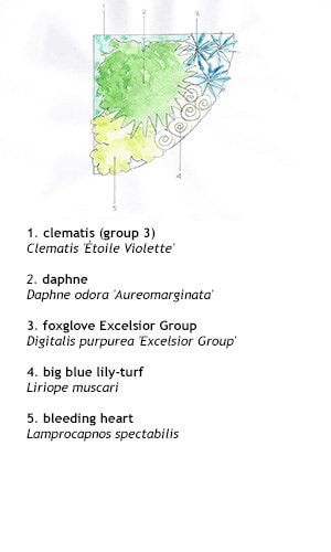 Crocus combinations