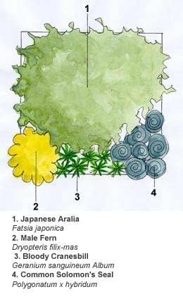 Crocus combinations