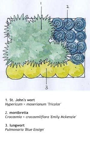 Crocus combinations