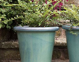 Fern and glazed pot combination