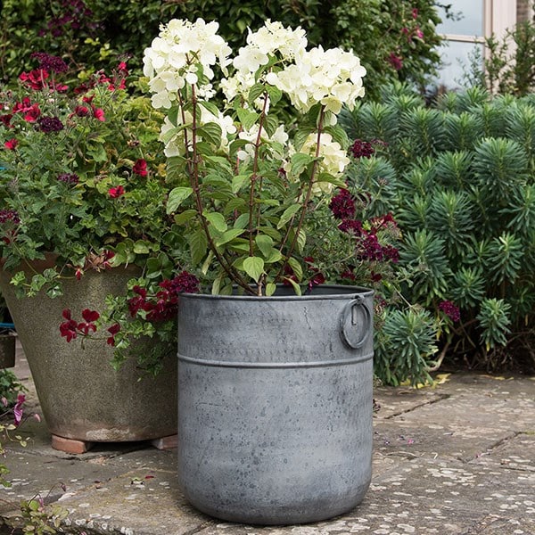 Hydrangea & metal pot combination