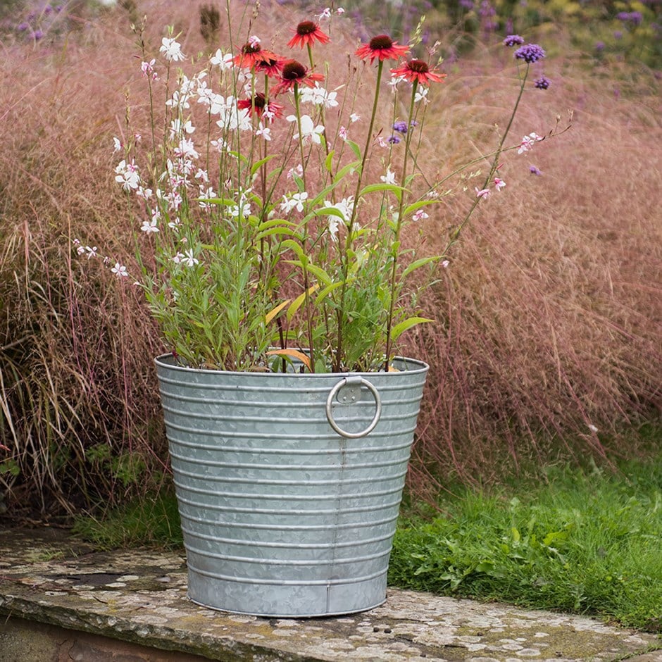 Summer perennials & ribbed planter combination