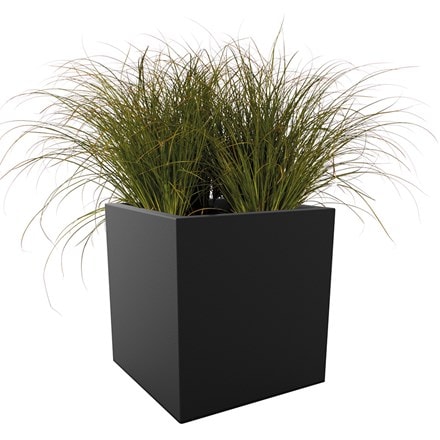 Picture of Carex testacea and Vivo square matt planter