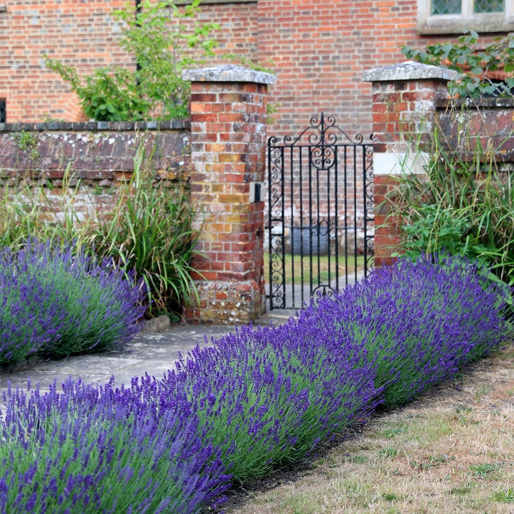 Product options image