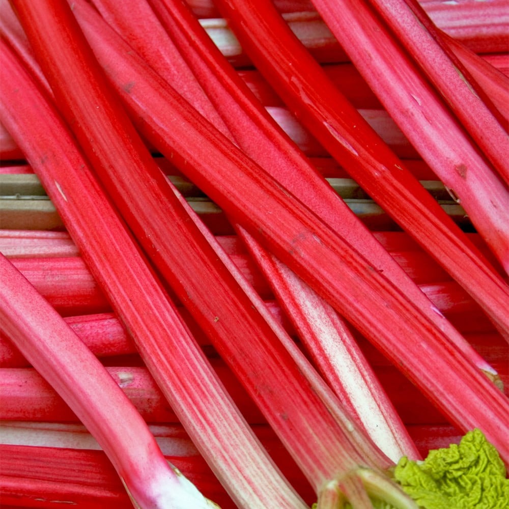 Product options image