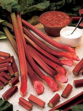 rhubarb Red Champagne