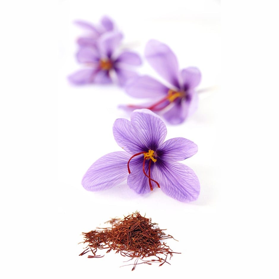 Grow your own saffron - saffron crocus bulbs