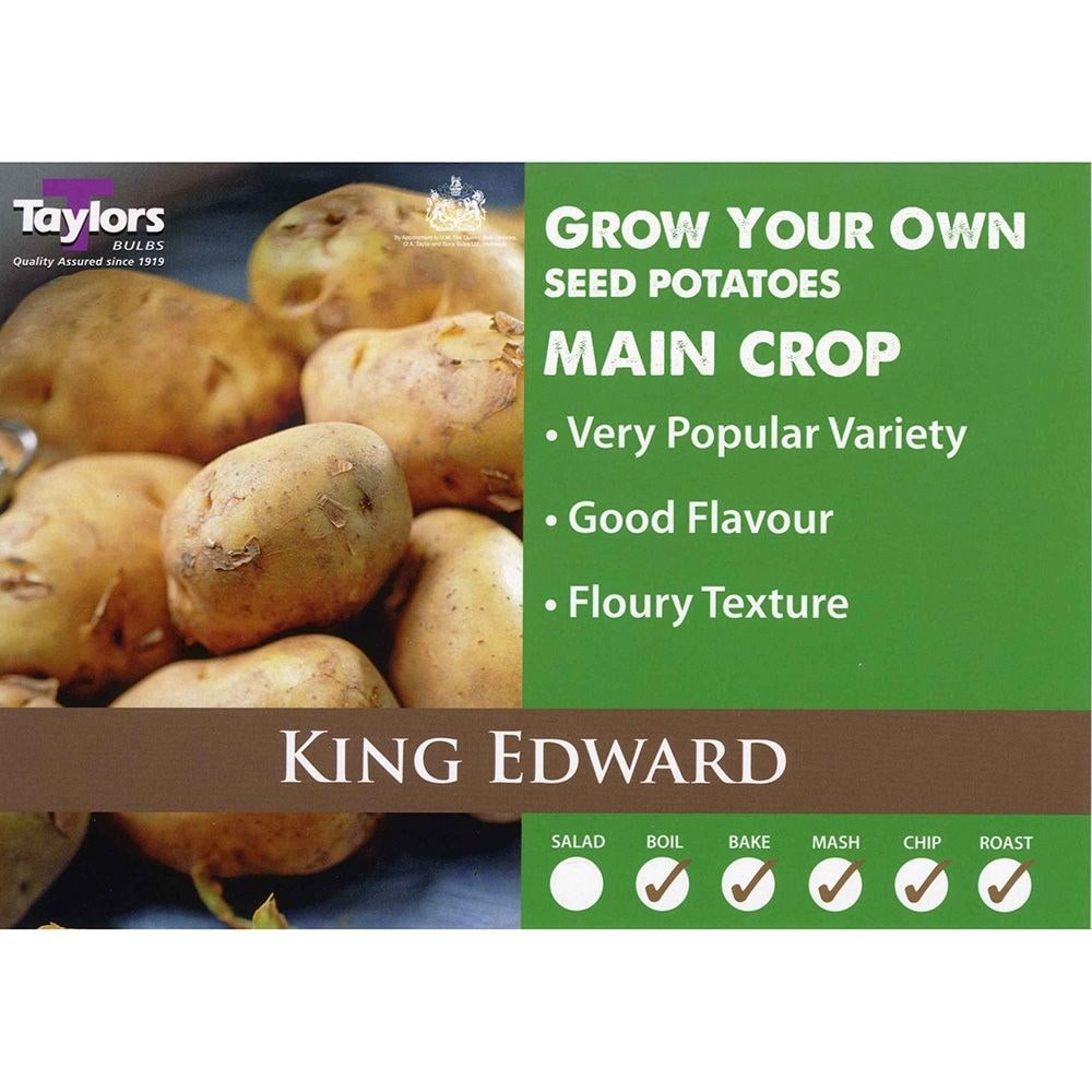 potato 'King Edward'