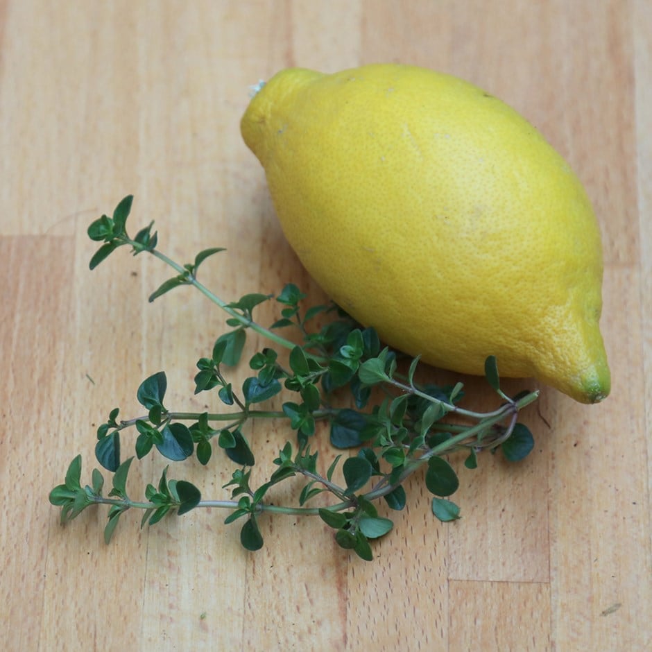 thyme - lemon