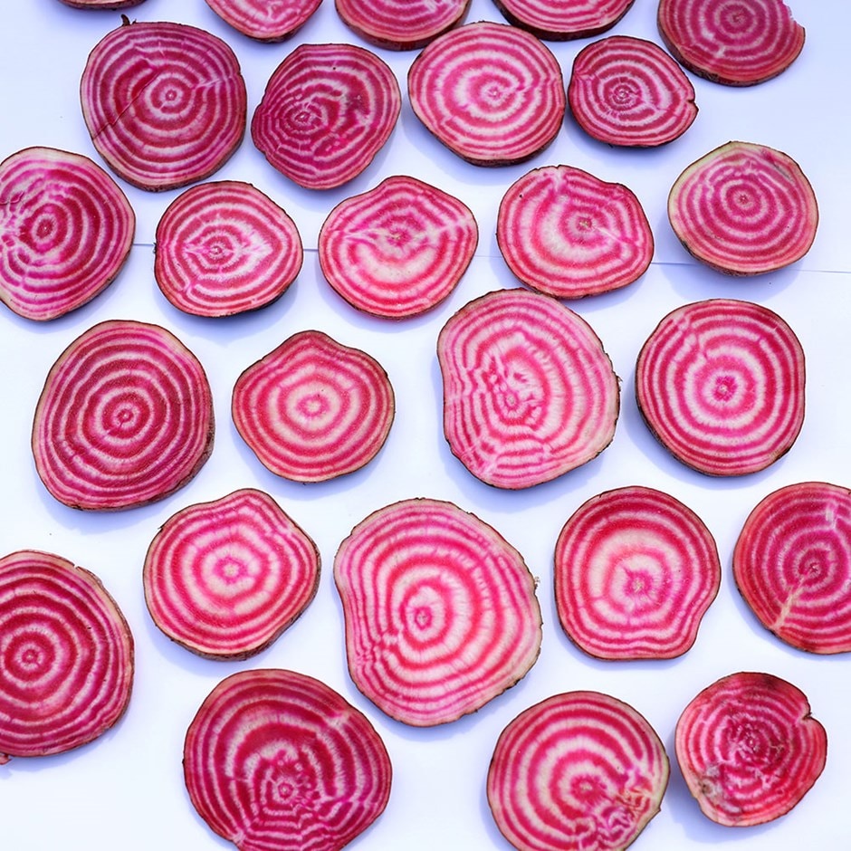 beetroot 'Beetroot of Chioggia'