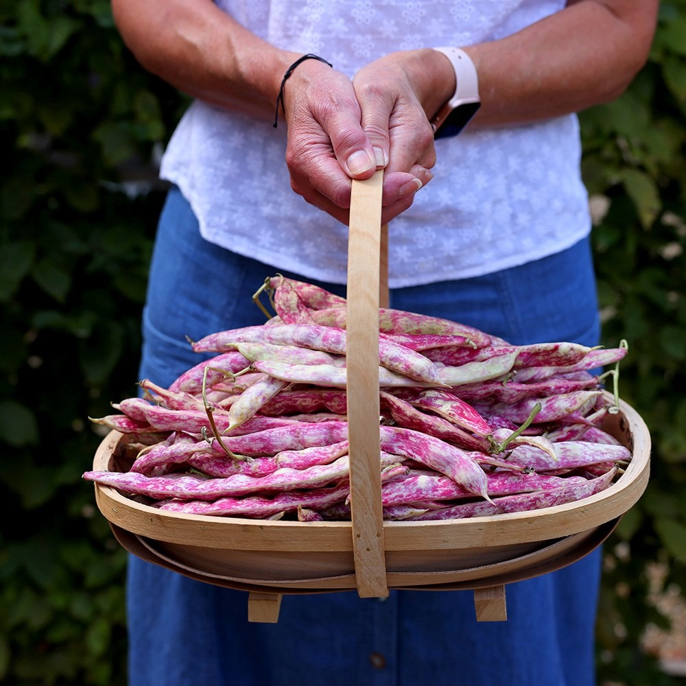 Product options image