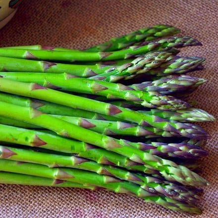 asparagus Connover's Colossal