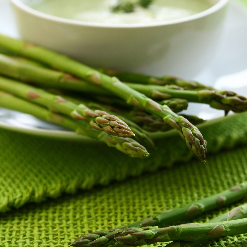 asparagus 'Connover's Colossal'