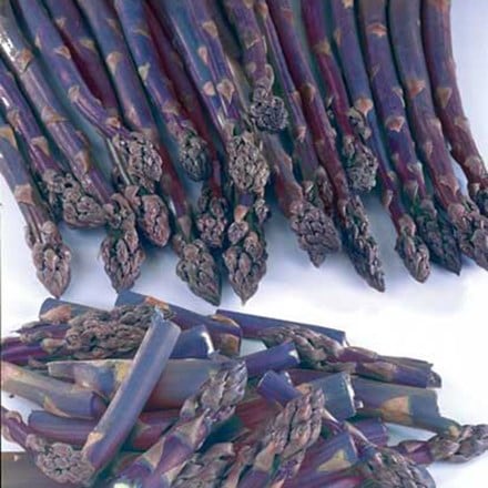 asparagus Pacific Purple