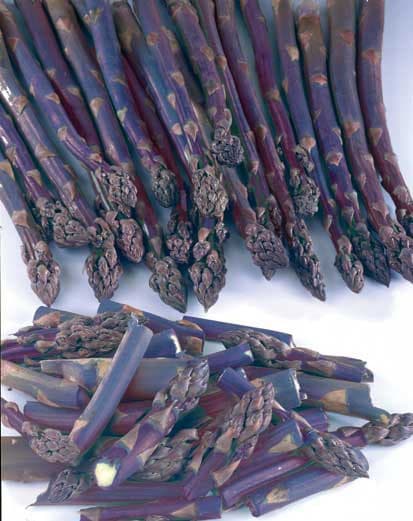 asparagus Pacific Purple