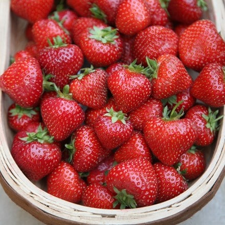 strawberry Albion (PBR)
