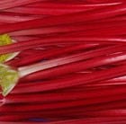 Buy rhubarb Raspberry Red crown rhubarb Raspberry Red: £3.19 Delivery ...