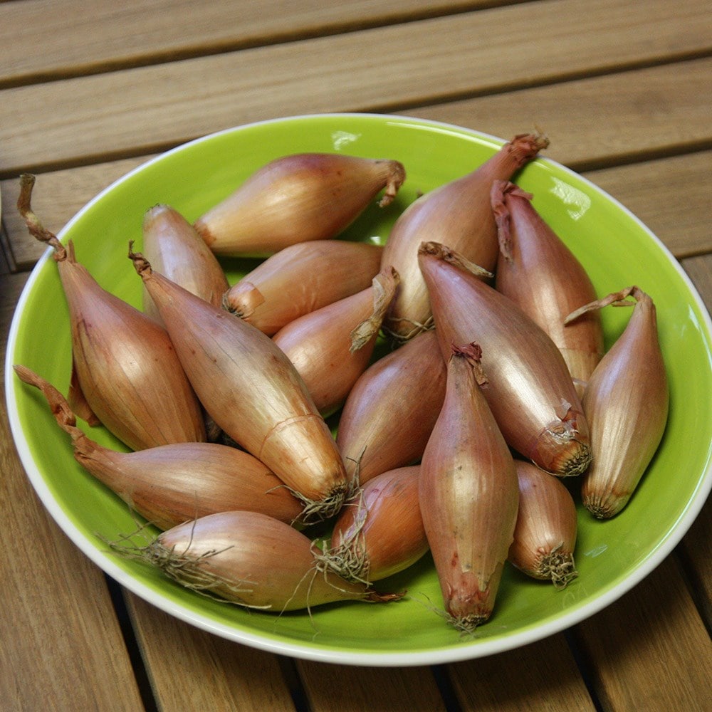 Product options image