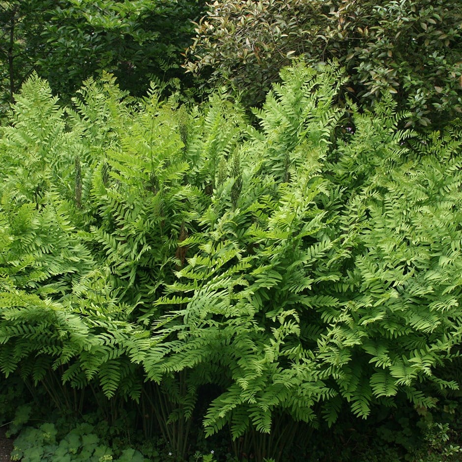 Natural Products Uk Natural Products Uk