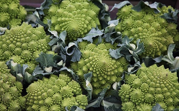 cauliflower Romanesco