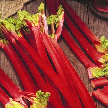 Rhubarb 'Cherry Red' Crown - The Diggers Club