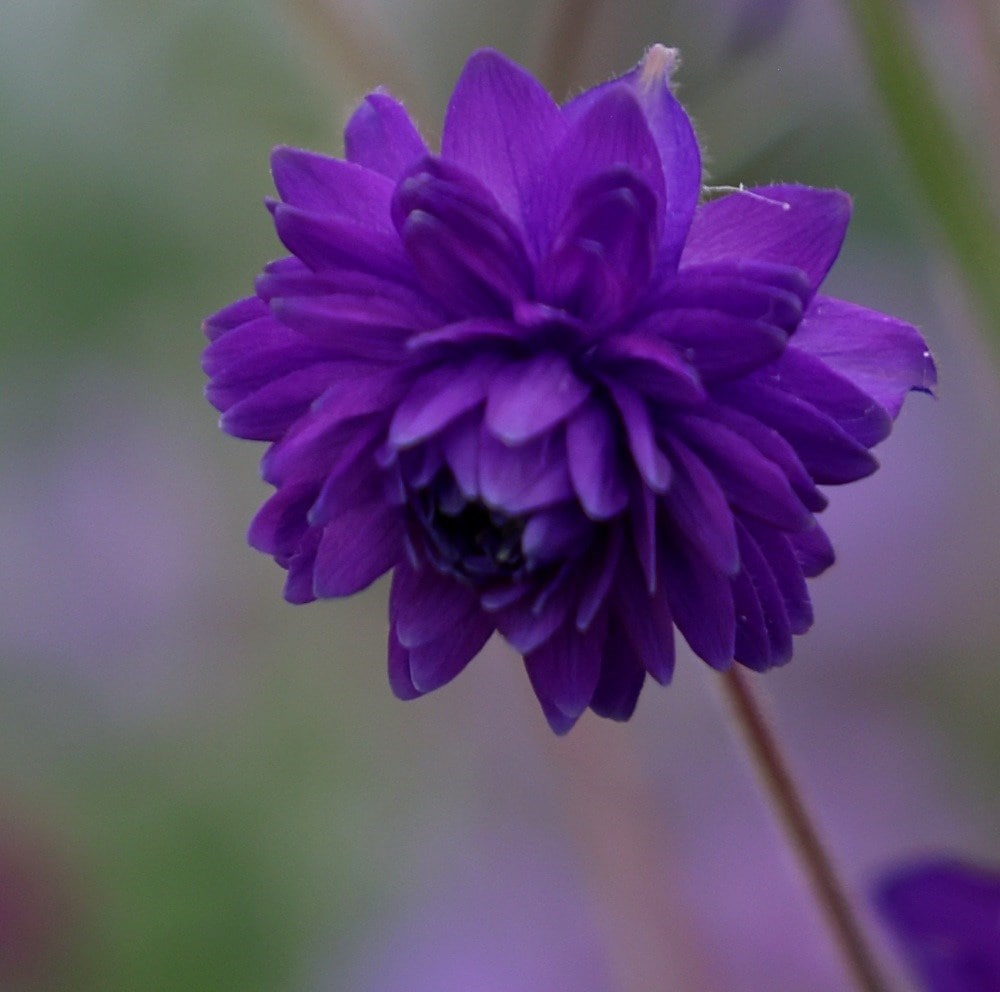 Product options image