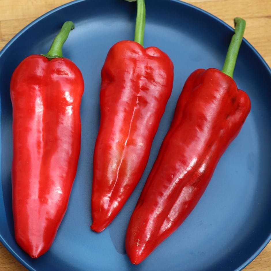 Buy sweet pepper Capsicum annuum 'Long Red Marconi' pepper Red Marconi'
