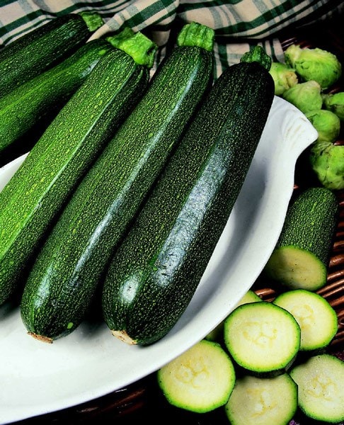 courgette Defender F1