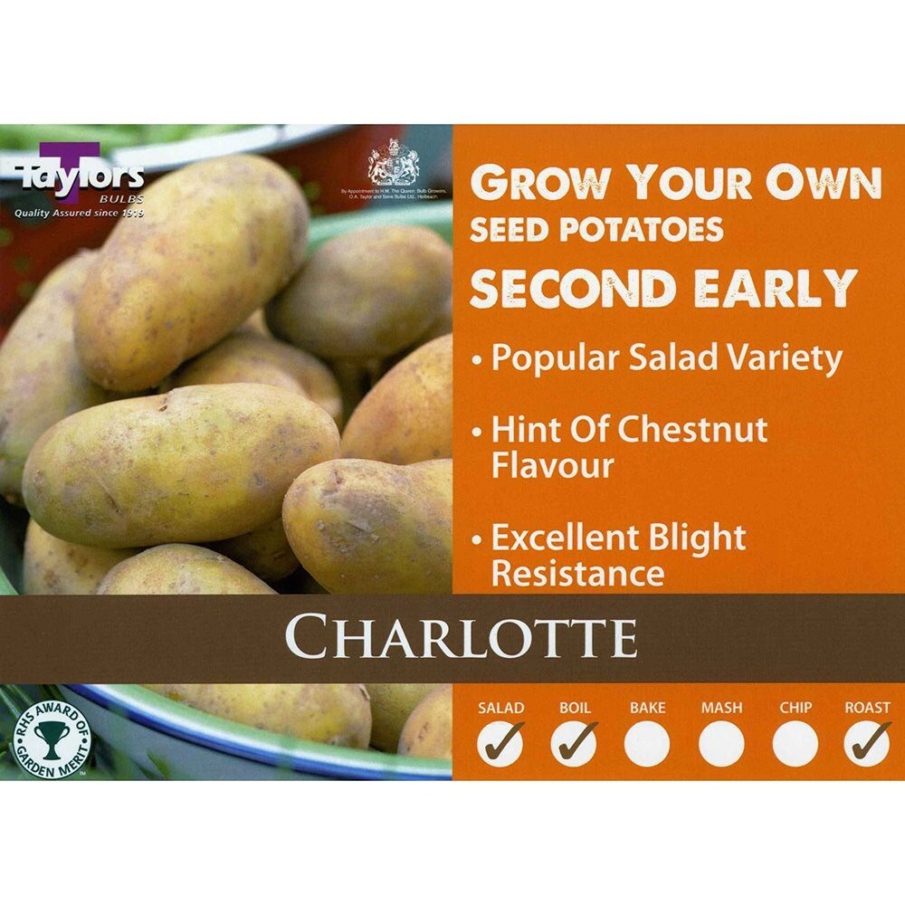 Salad Type Second Early Variety SCOTTISH CERTIFIED SEED Details about   Seed Potatoes CHARLOTTE 