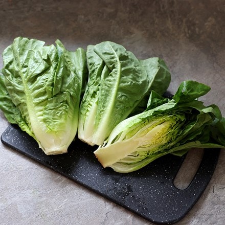 lettuce (cos) 'Little Gem'