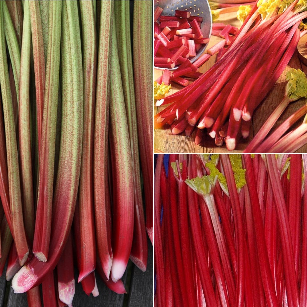 Product options image