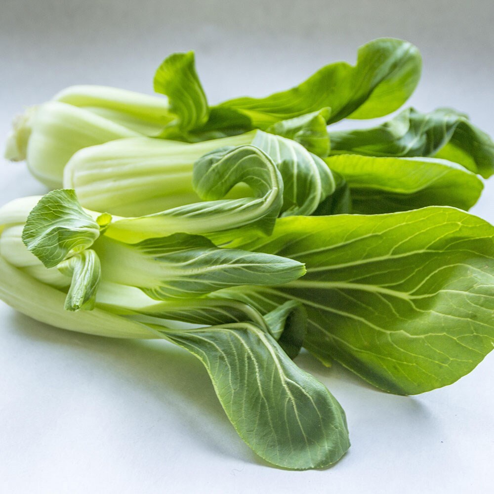 Buy pak choi - Chinese cabbage or Brassica rapa (Chinensis Group) &amp;#39;Joi ...