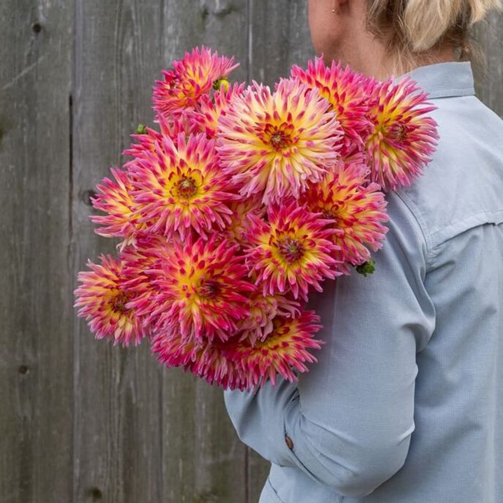 Product options image